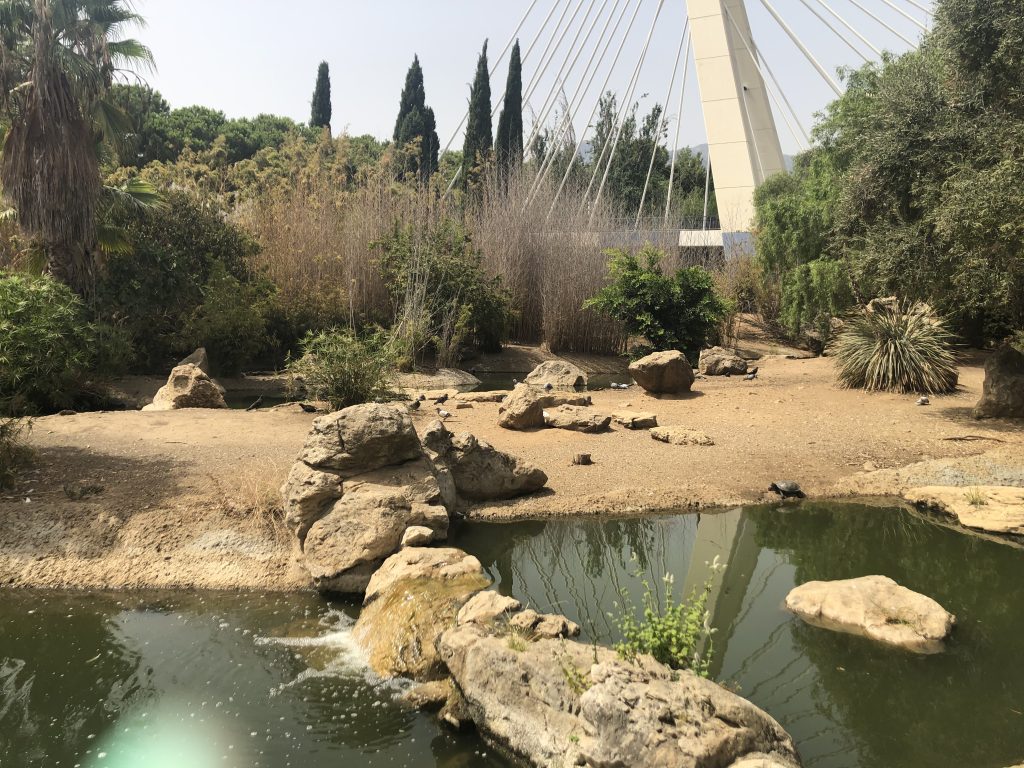 Parque de Puente